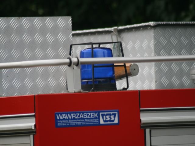 zdjecie (43)